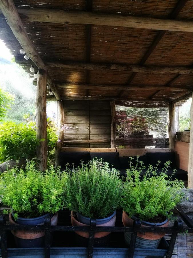 Agriturismo Tananei Marliana Ngoại thất bức ảnh