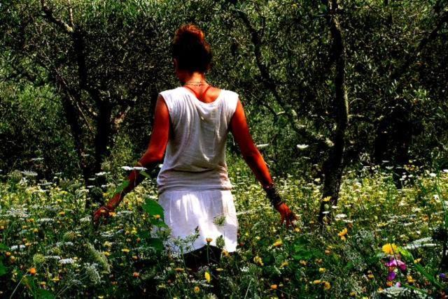 Agriturismo Tananei Marliana Ngoại thất bức ảnh